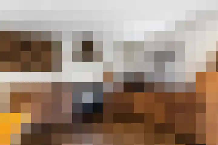 Struikakkers 13 Ermelo thumbnail 27