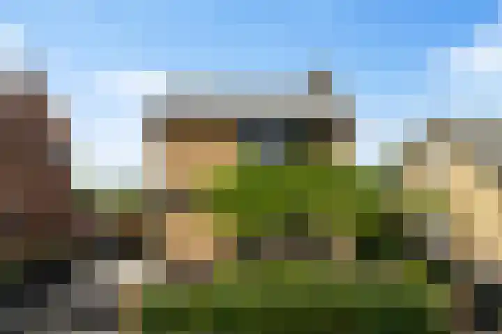 Struikakkers 13 Ermelo thumbnail 4
