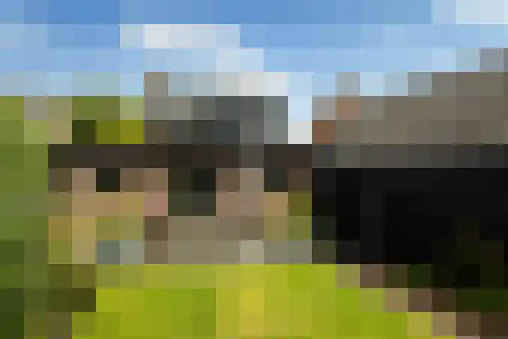 Struikakkers 13 Ermelo thumbnail 50