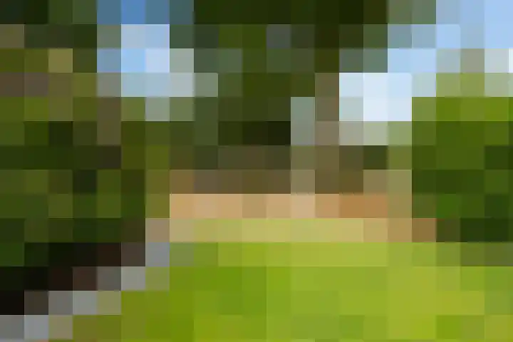 Struikakkers 13 Ermelo thumbnail 55