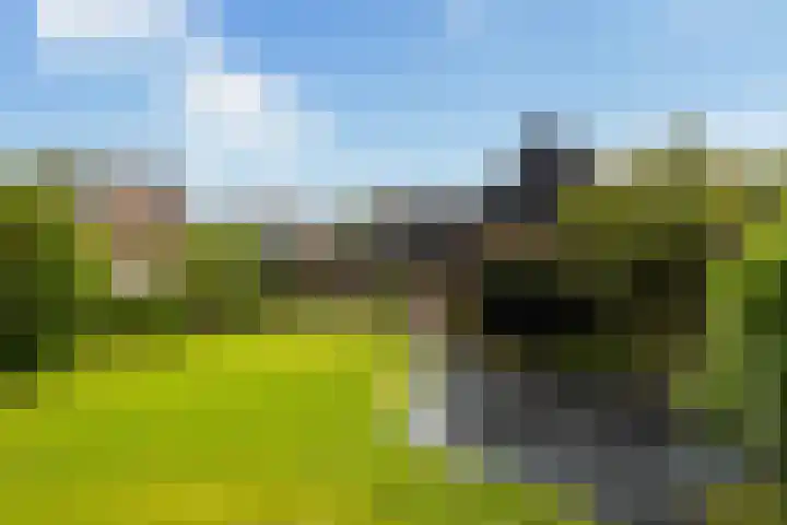 Struikakkers 13 Ermelo thumbnail 56