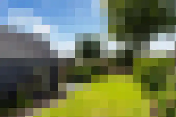 Struikakkers 13 Ermelo thumbnail 58