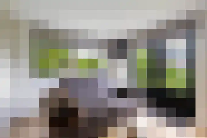 Struikakkers 13 Ermelo thumbnail 63