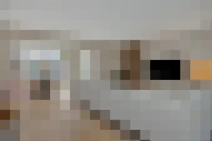 Struikheide 25 Deurne thumbnail 10