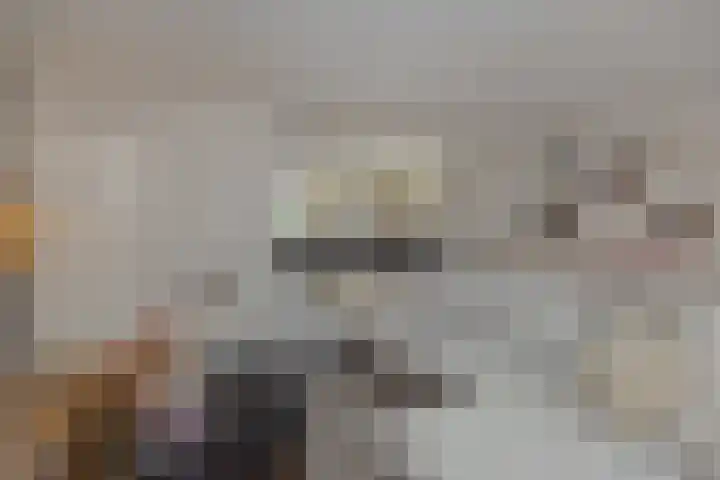Struikheide 25 Deurne thumbnail 12