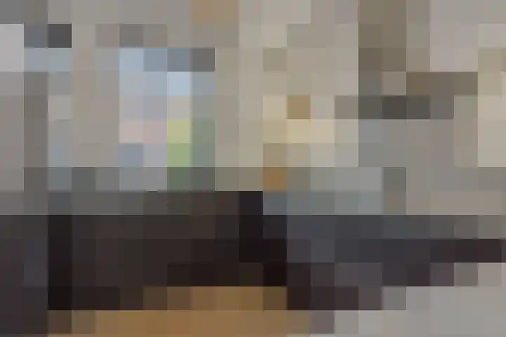 Struikheide 25 Deurne thumbnail 16