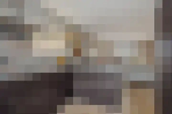 Struikheide 25 Deurne thumbnail 17