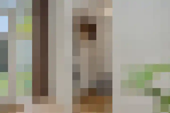 Struikheide 25 Deurne thumbnail 19