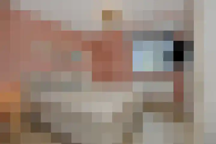 Struikheide 25 Deurne thumbnail 20
