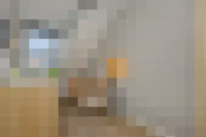 Struikheide 25 Deurne thumbnail 24