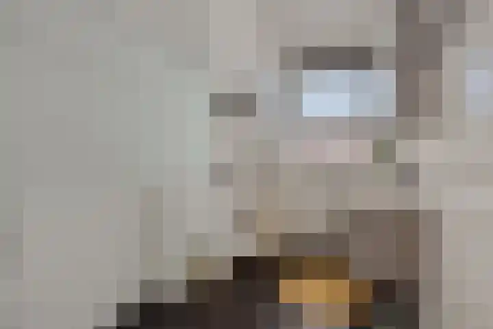 Struikheide 25 Deurne thumbnail 26