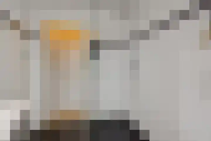 Struikheide 25 Deurne thumbnail 27