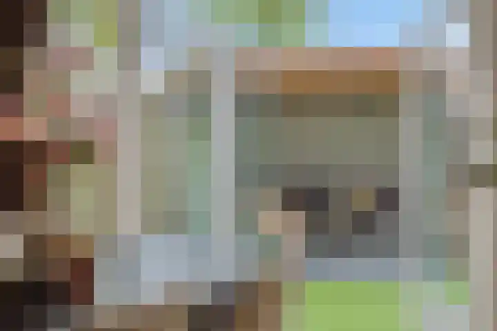 Struikheide 25 Deurne thumbnail 30