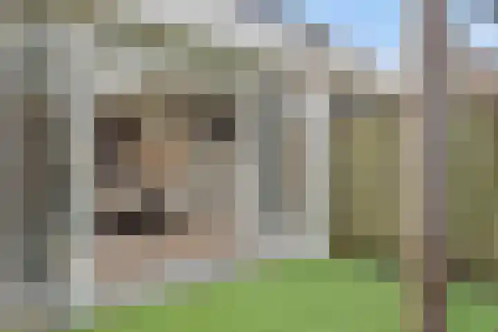 Struikheide 25 Deurne thumbnail 31