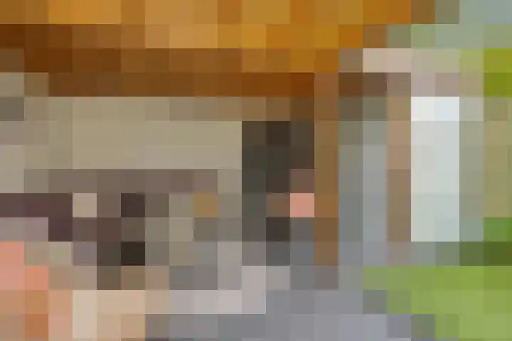 Struikheide 25 Deurne thumbnail 33