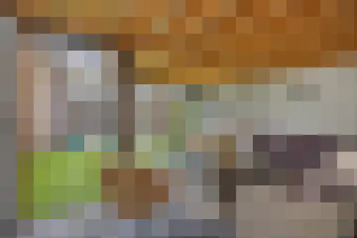 Struikheide 25 Deurne thumbnail 34