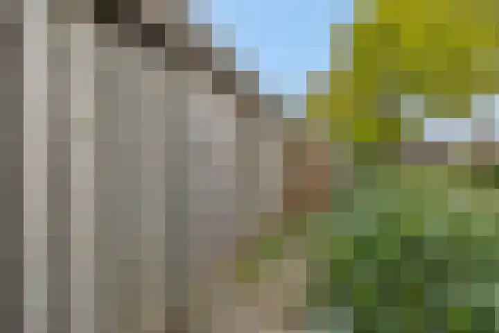 Struikheide 25 Deurne thumbnail 35