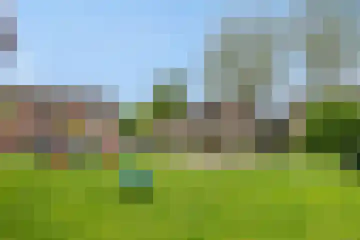 Struikheide 25 Deurne thumbnail 36