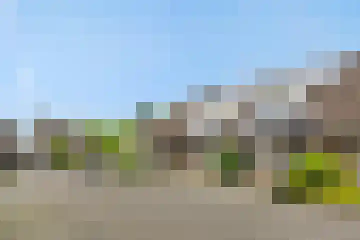 Struikheide 25 Deurne thumbnail 37