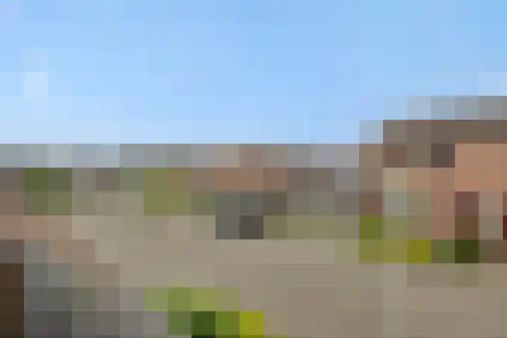 Struikheide 25 Deurne thumbnail 39