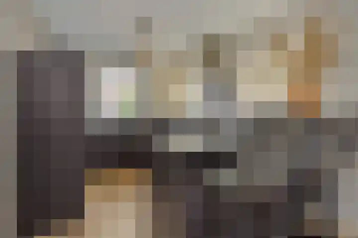 Struikheide 25 Deurne thumbnail 4