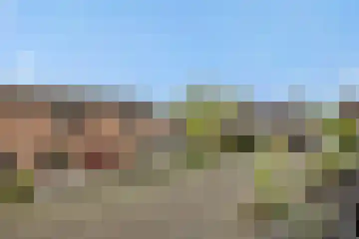 Struikheide 25 Deurne thumbnail 40