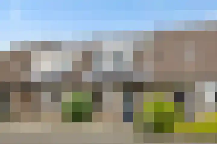 Struikheide 25 Deurne thumbnail 48