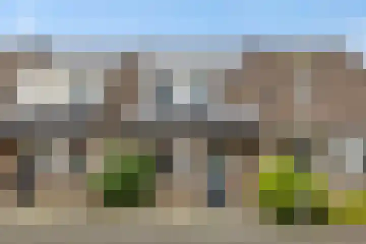 Struikheide 25 Deurne thumbnail 6