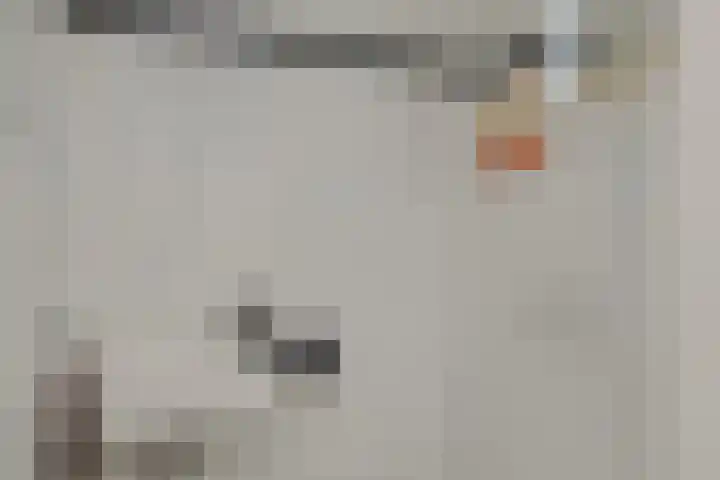 Struikheide 25 Deurne thumbnail 9