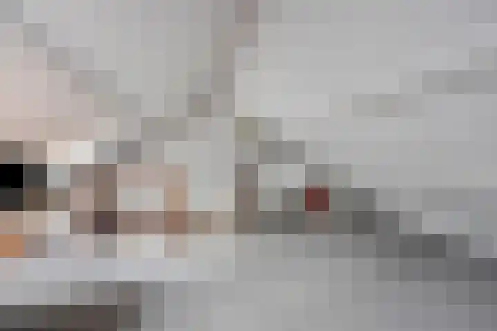 Struikheide 66 Wolvega thumbnail 17