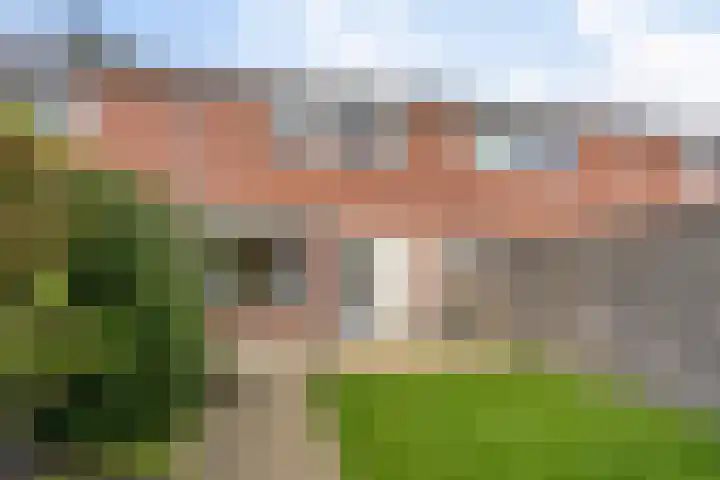 Struikheide 66 Wolvega thumbnail 19
