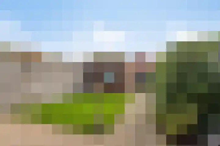 Struikheide 66 Wolvega thumbnail 20
