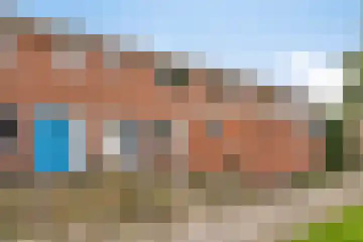 Struikheide 66 Wolvega thumbnail 21