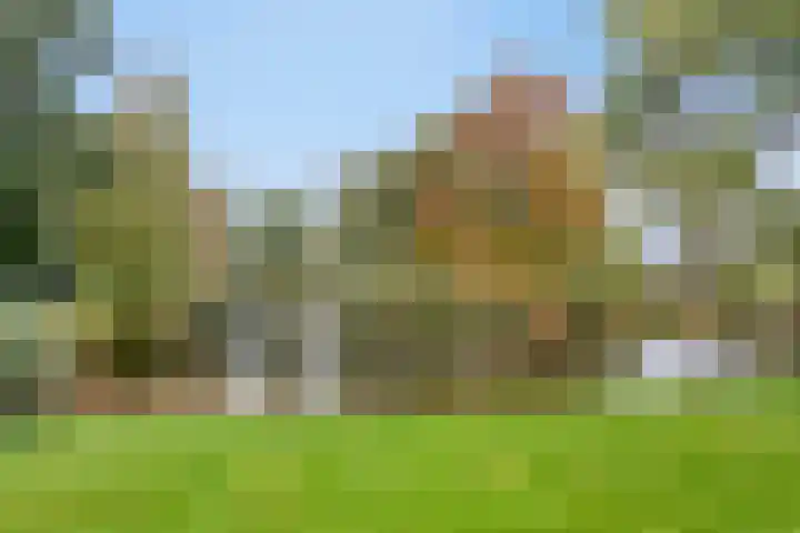 Struikheide 66 Wolvega thumbnail 22