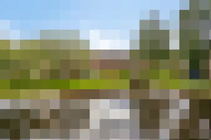 Struikheide 66 Wolvega thumbnail 23