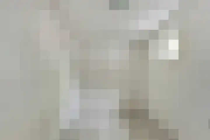 Struikheide 66 Wolvega thumbnail 7