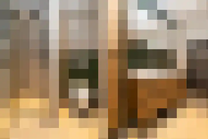 Struikheideveld 10 Swifterbant thumbnail 21