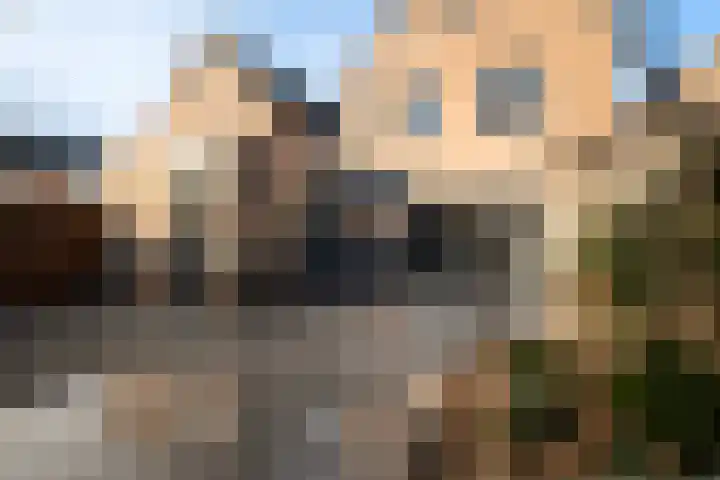 Struikheideveld 10 Swifterbant thumbnail 24