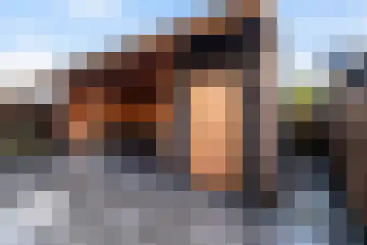 Struikheideveld 10 Swifterbant thumbnail 25