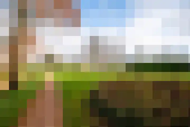 Struikheideveld 10 Swifterbant thumbnail 5