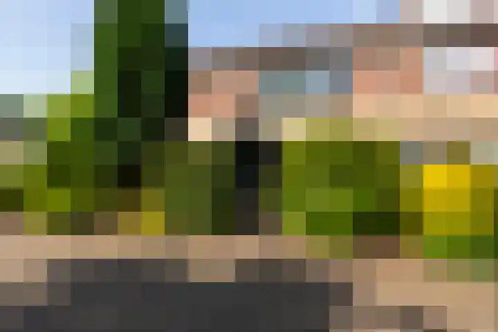 Struisgras 3 Gouda