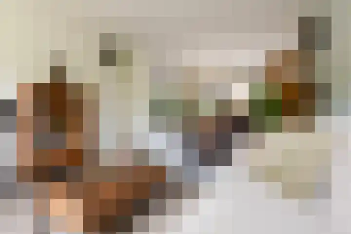 Struisgras 3 Gouda thumbnail 10