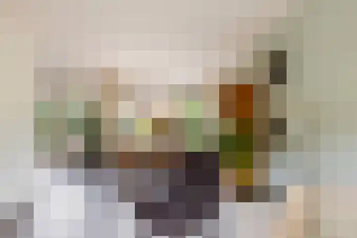 Struisgras 3 Gouda thumbnail 12