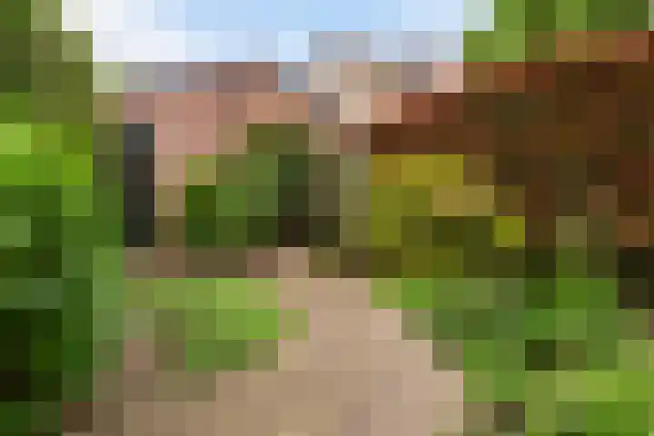 Struisgras 3 Gouda thumbnail 23