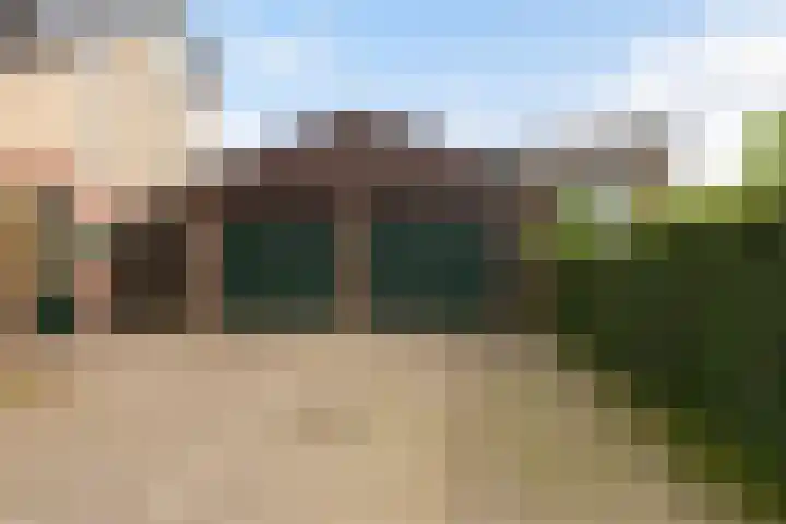 Struisgras 3 Gouda foto 3