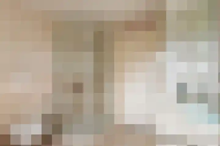 Struisgras 3 Gouda thumbnail 39