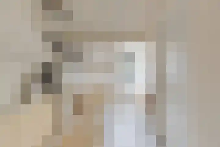 Struisgras 3 Gouda thumbnail 42