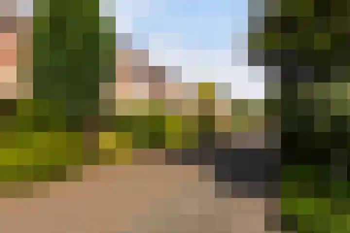 Struisgras 3 Gouda thumbnail 45