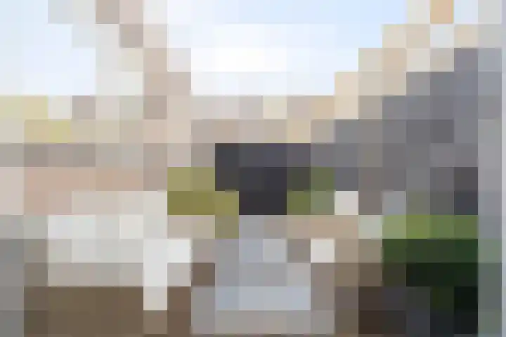 Stuartstraat 71 Alkmaar thumbnail 30