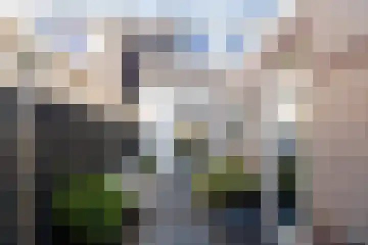 Stuartstraat 71 Alkmaar thumbnail 31